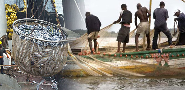 Nigeria’s Industrial Fishing Sector Meets 10% Of 35% Annual Capacity