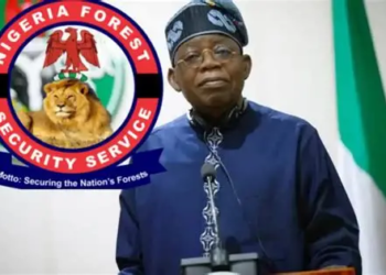Tinubu Approves Recruitment Of 1,000 Forest Guards In Oyo