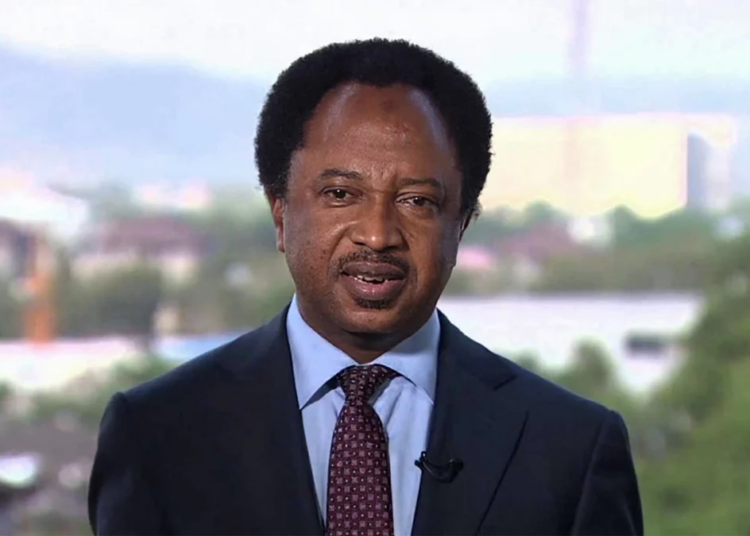 Former Senator who represented Kaduna Central at the defunct 8th National Assembly Shehu Sani