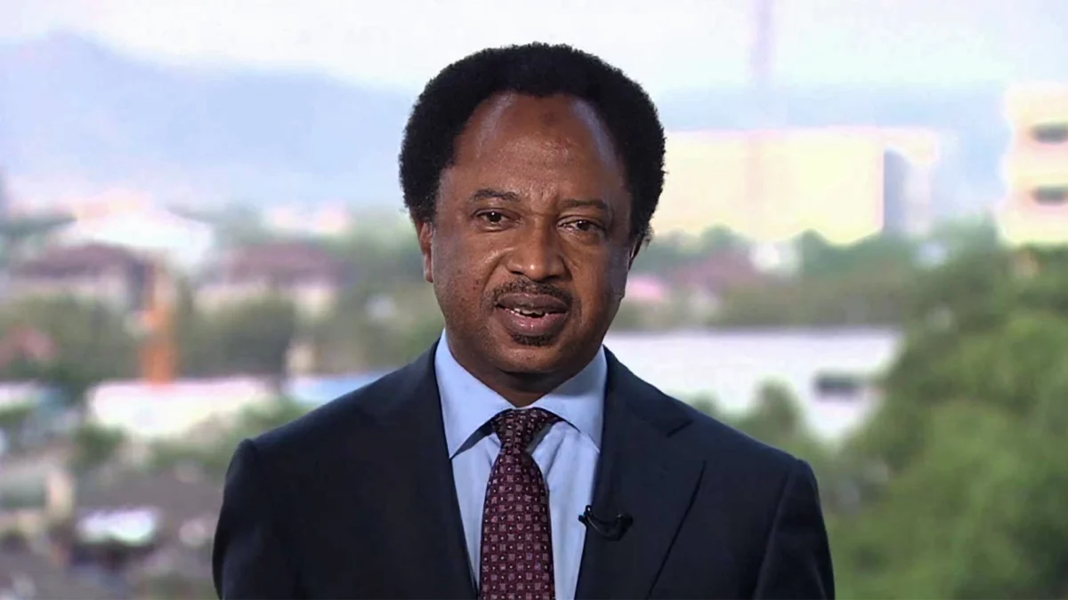 Why I Want To Return To The Senate — Shehu Sani