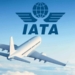 Africa Leads Air Cargo Rebound As Global Demand Dips 4.8%—IATA 5 Africa Leads Air Cargo Rebound As Global Demand Dips 4.8%—IATA