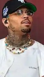 Police Apprehend Suspect Following Shooting Outside Chris Brown’s Home