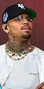 Police Apprehend Suspect Following Shooting Outside Chris Brown’s Home 1 IMG 20260502 WA0081