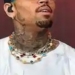 Police Apprehend Suspect Following Shooting Outside Chris Brown’s Home 5 Police Apprehend Suspect Following Shooting Outside Chris Brown’s Home
