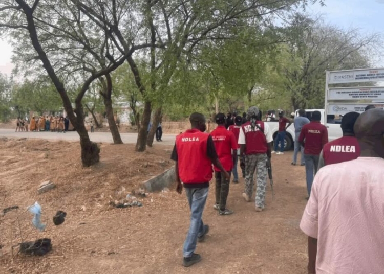 NDLEA Raids BUK Community, Arrests 6 Suspected Drug Dealers 1 IMG 20260505 WA0022