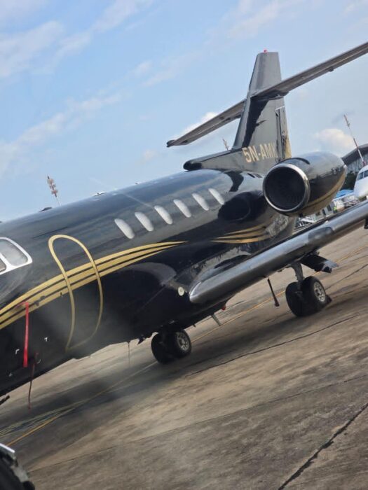 Borno Power Project: EFCC Secures Final Forfeiture Of Private Jet