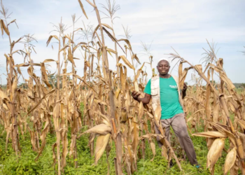 Fund Empowers 88,000 Farmers In Nasarawa, Niger, Plateau