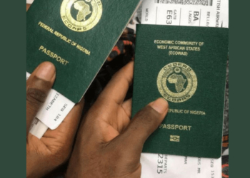 Anti-Immigration Wave Demands Stronger Nigerian Economy — Mienye