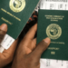 Anti-Immigration Wave Demands Stronger Nigerian Economy — Mienye