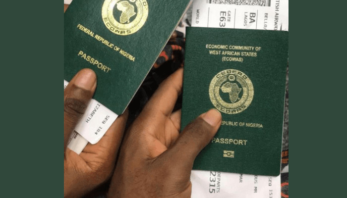 Anti-Immigration Wave Demands Stronger Nigerian Economy — Mienye