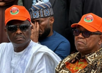 Defection Plot: Group Accuses Obi, Kwankwaso Allies Of Backing APC Agenda