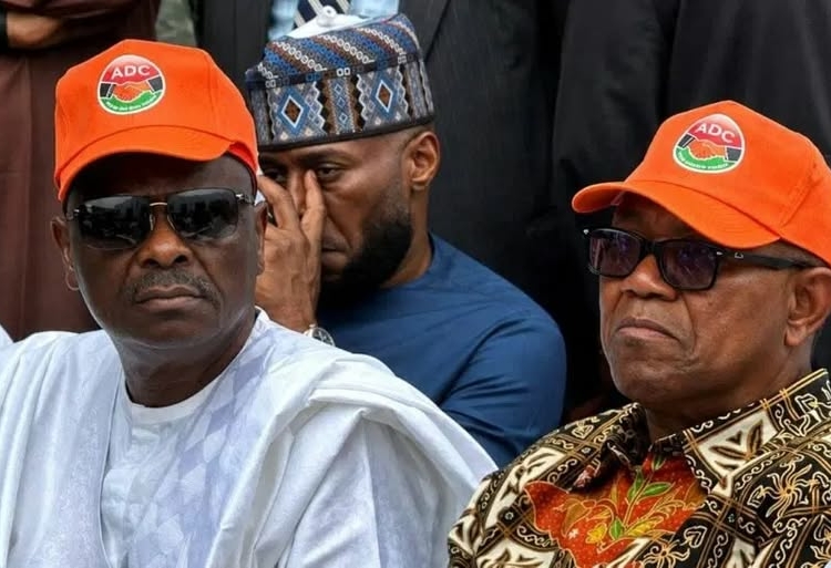 Defection Plot: Group Accuses Obi, Kwankwaso Allies Of Backing APC Agenda 1 Kwankwaso