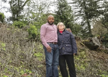 Luxury Living Gone Wrong: Couple Fined $1m After Cutting Protected Trees For Better View