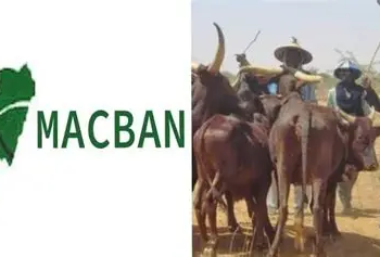MACBAN Condemns Killing Of 9 Herders In Kogi, Demands Justice