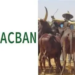 MACBAN Condemns Killing Of 9 Herders In Kogi, Demands Justice