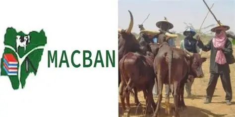 MACBAN Condemns Killing Of 9 Herders In Kogi, Demands Justice