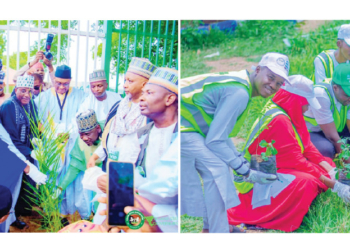 Across Nigeria’s North, NAGGW Is Fighting Desertification, Restoring Livelihoods