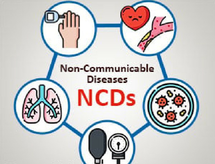 Rising NCDs: Why Nigeria Needs Clear Warnings On Packaged Foods, Salt Regulation 1 NCDs