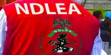 Senate Plans 3-prong Approach Against Drug Abuse 2 NDLEA Arrests Physically Challenged Persons For Drug Trafficking