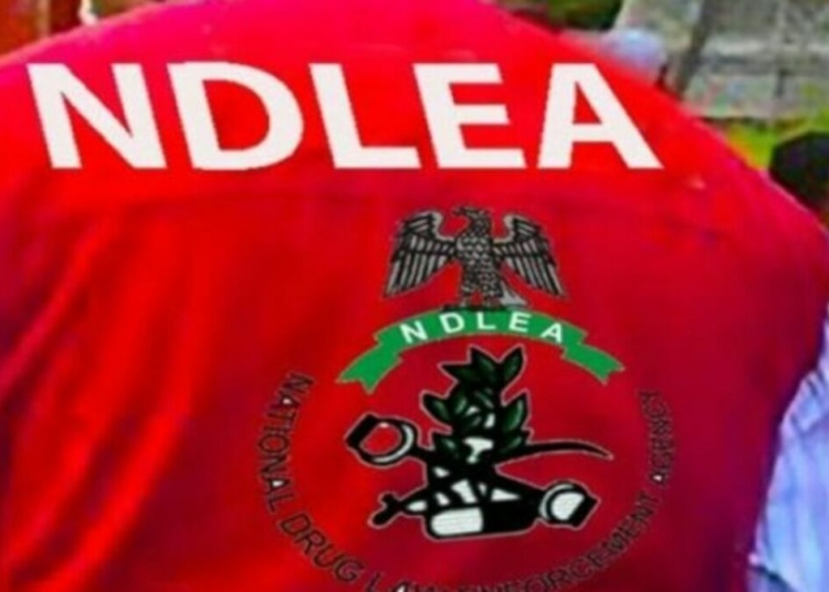 NDLEA 1