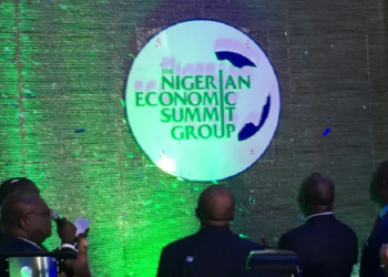 NESG Raises Concern Over Nigeria’s Rising Debt Pressure