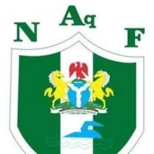 Nigeria Unveils Squad For Africa Aquatics Championships, Bolstered By Diaspora Talent