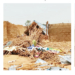 Shower Of Blessings Becomes Flood Of Misery In Niger Communities