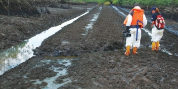 Federal Govt Urges Donors To Bridge Funding Gap For Ogoni Cleanup