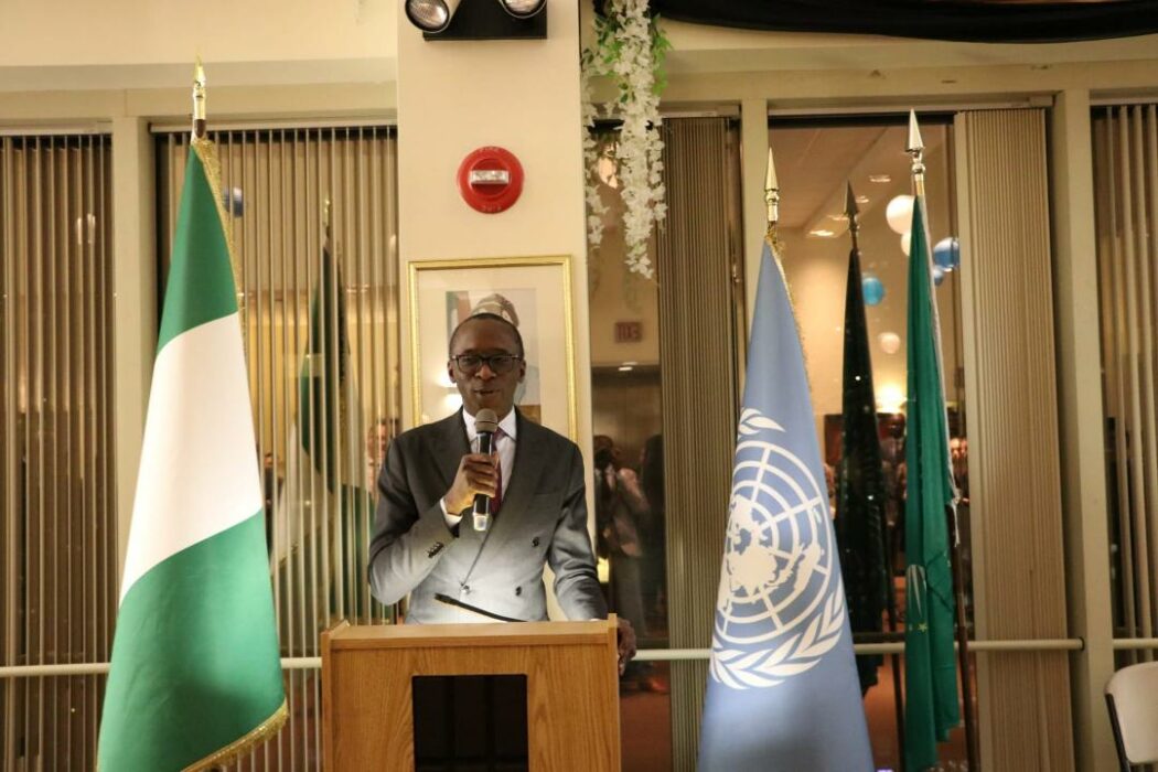 Nigerian Oluwafemi Elias Joins UN Law Commission