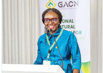 End ‘Silo’ Approach To Fix Nigeria’s Gas-to-power Crisis, NUPRC Urges