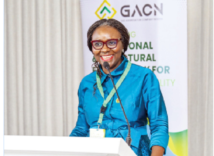 End ‘Silo’ Approach To Fix Nigeria’s Gas-to-power Crisis, NUPRC Urges