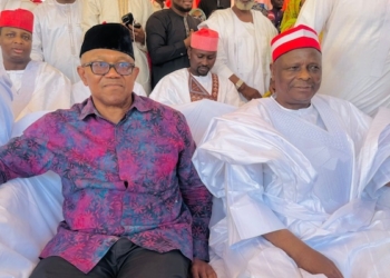 Kwankwaso-Obi Tie-Up Unlikely To Win North In 2027— Ahmed