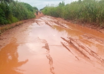 Erosion, Abandoned Road Restrict Delta Monarch To Palace