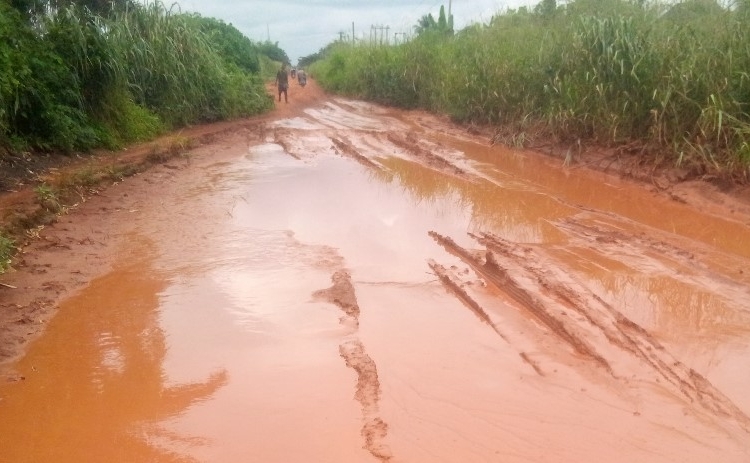 Road1