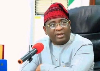 I’m Not A Spare Tyre Deputy Governor — Ode