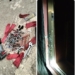 TCN Repels Armed Robbery Attempt at Ogbomosho Substation