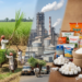 Sugar Industry Growth Can Unlock 750,000 Rural Jobs-- Bakrin 5 Sugar Industry Growth Can Unlock 750,000 Rural Jobs– Bakrin