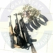 Police Nab 2 Suspected Kidnappers, Recover Arms, Ammunition In Kwara
