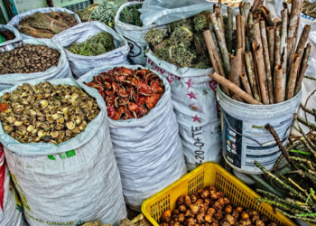 Nigeria Can Boost GDP With Traditional Medicine Export – Varsity Don