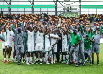 Unity Cup: Zimbabwe Rallies Diaspora Support For Warriors Against Super Eagles