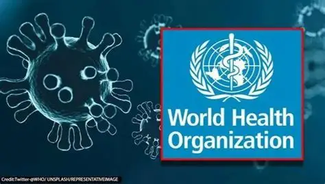 WHO Chief Calls For Congo Ceasefire Amid Ebola Outbreak