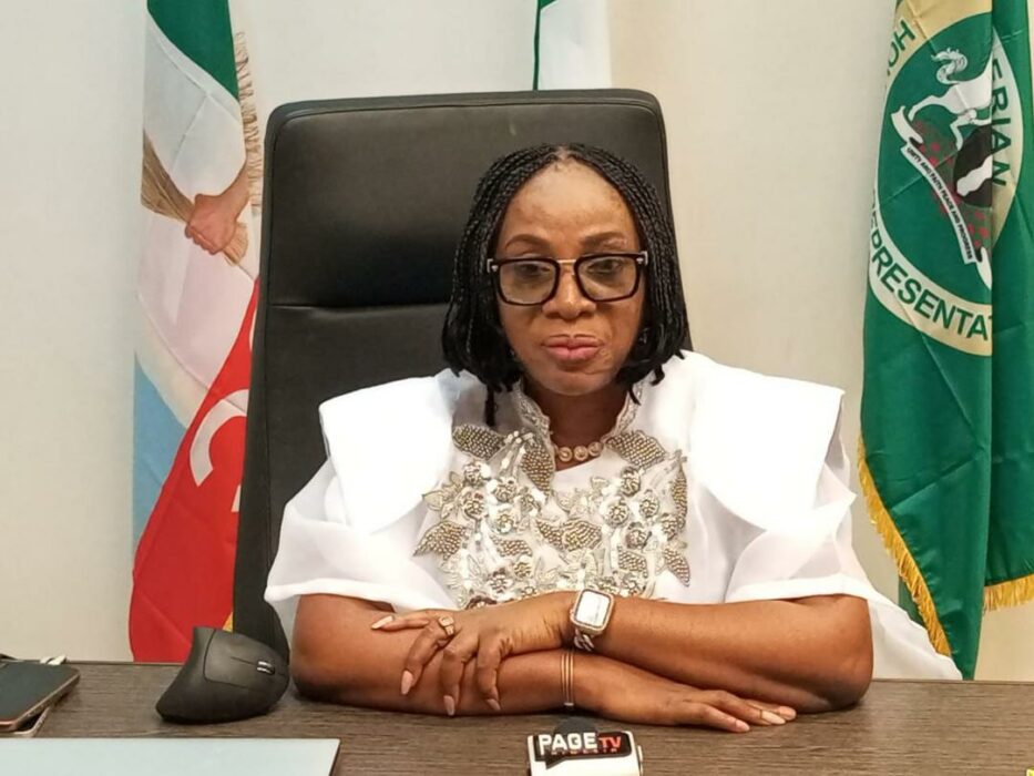 Ogun Rep Seeks APC Ticket, Defends Re-election Bid