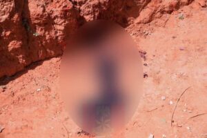 PICTORIAL: Troops Repel ISWAP Attack, Kill 50 Terrorists In Yobe 9 WhatsApp Image 2026 05 09 at 09.56.45 1