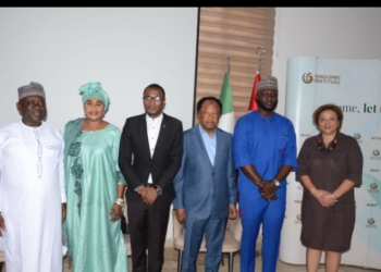 Nigeria, Turkey Partner To Boost Creative Economy Through Cinema