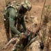 PICTORIAL: Troops Neutralise Terrorists, Rescue Victims, Recover Arms, Ammunition, Explosives In North-East 5 PICTORIAL: Troops Neutralise Terrorists, Rescue Victims, Recover Arms, Ammunition, Explosives In North-East
