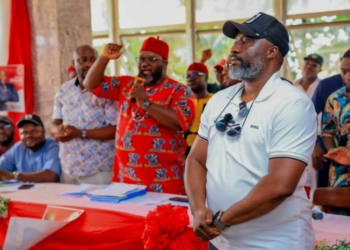 2027: APP Picks Chima Amadi For Imo East Senatorial Race