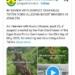 I Staged Fake Bandit Videos On TikTok To Gain Followers — Suspect 5 I Staged Fake Bandit Videos On TikTok To Gain Followers — Suspect