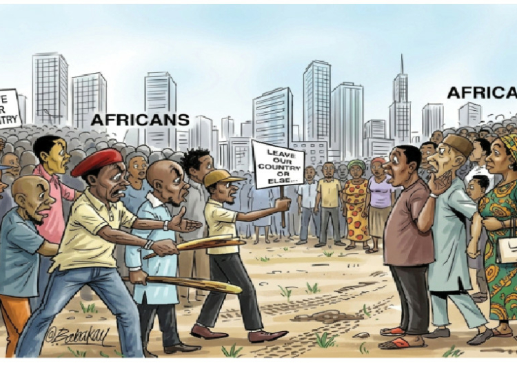 Africa’s Growing Xenophobic Culture: A Dangerous Trend 1 Xenophobic in africa