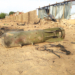 Dozens Feared Dead After Air Strikes on Lake Chad Islands