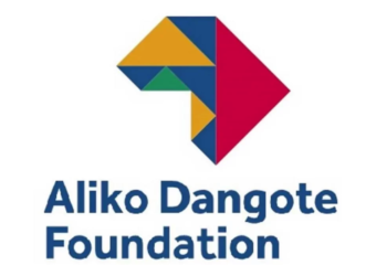 Dangote Foundation, WEF Name 2026 Young Global Leaders From Africa
